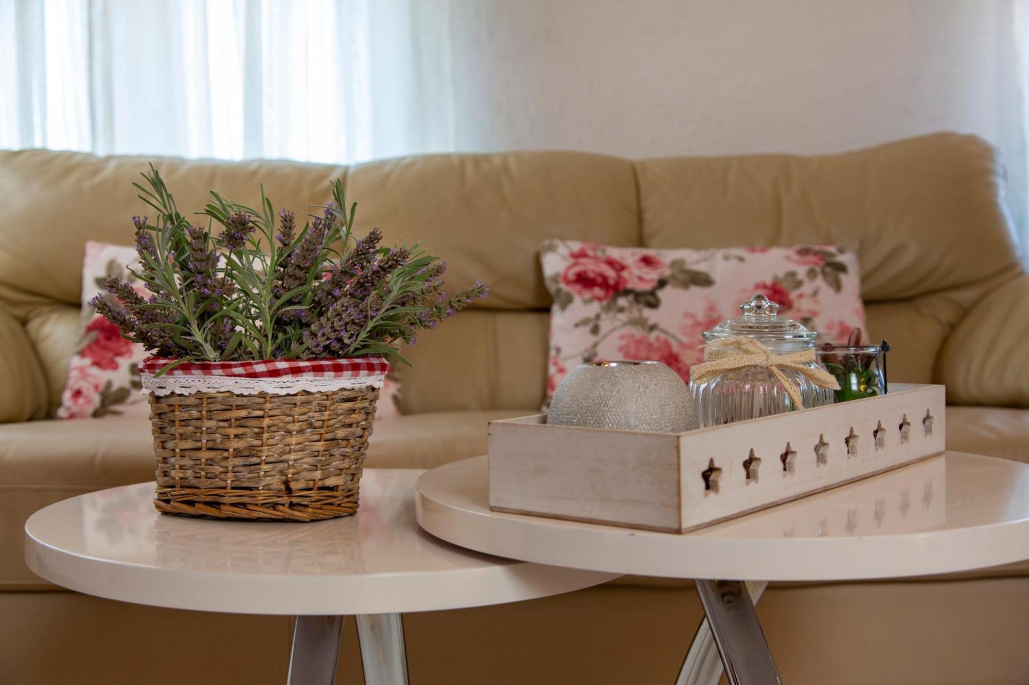 Apartman Viki Stinjan Pula Bagian luar foto
